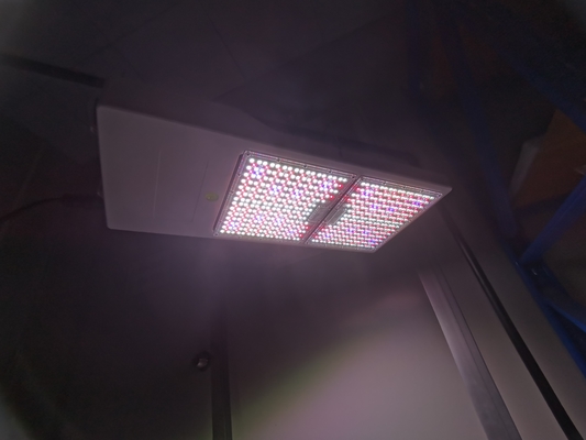 IP65 Full Spectrum Growing Light 6500k Daisy ChainFor Plants Flower