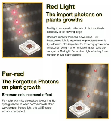 Bava Full Spectrum LED Grow Lights 320W SAMSUNG LM301B 3000k Osram Red 660nm