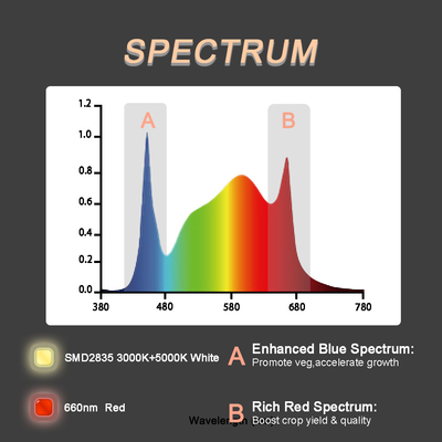 White And Deep Red 660nm Commercial LED Grow Lights full spectrum