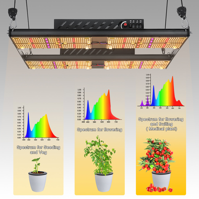 4x4 Quantum Board 480 Watt 1248umol/s Samsung LED Grow Light For Blooming