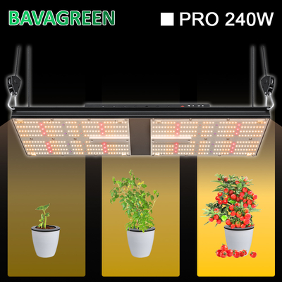 Bavagreen Horticulture WIFI LED Grow Light Quantum Board LM301H 240W 624 Umol/s