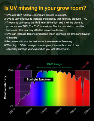 SAA Dimmable Full Spectrum LED Quantum Board LM301B 5000K
