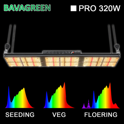 SAMSUNG LM301B Quantum Board V2