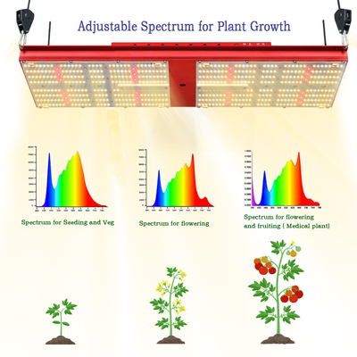 BAVA 2.6 umol Led four adjustable specturm switch ir 385nm 240w Greenhouse Grow Lamps