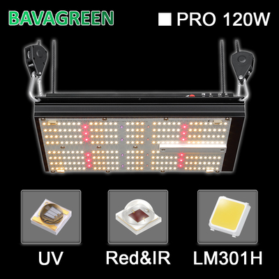 BAVA 2.8umol Led Herb Grow Light Red 660nm Uv 120w 312Umol/s