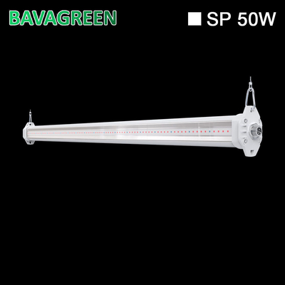Red Blue Spectrum 50W T8 Tube Grow Light For Tomato Cucumber Strawberry
