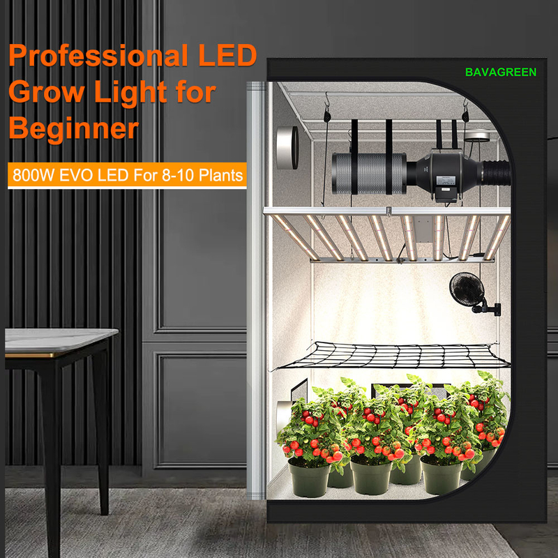 BAVAGREEN 800W Samsung LM301H EVO Commercial Plant Lamp Full Spectrum UV IR LED Grow Light for Horticulture Greenhouse