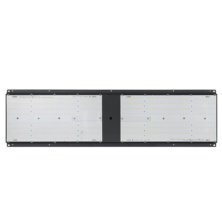 2.6umol/J 240W LM301B Samsung LED Grow Light Indoor Horticulture Lighting