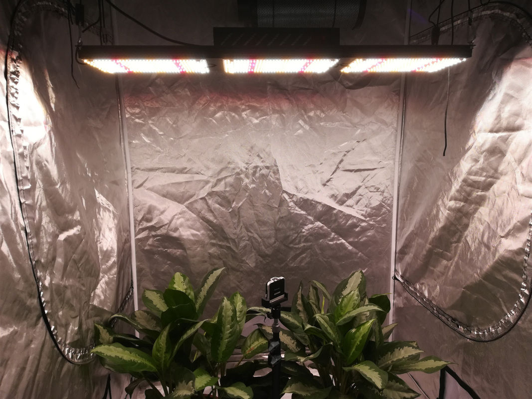 5000K Full Spectrum LED Grow Lights