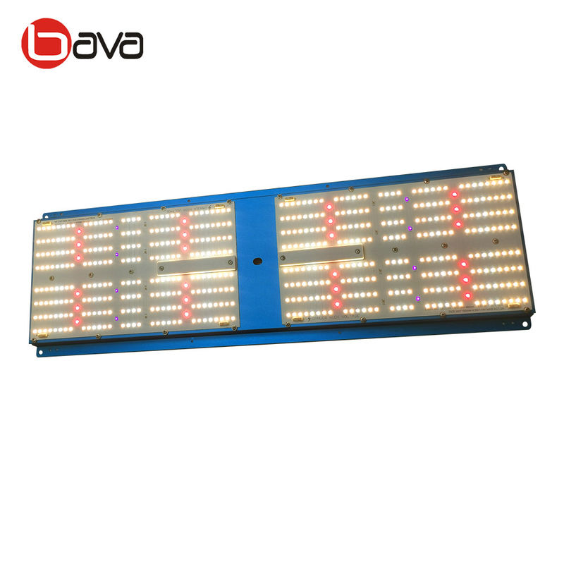 IP20 Bavagreen 240W LED Grow Light UVA UVB Light For Plants 624Umol/s