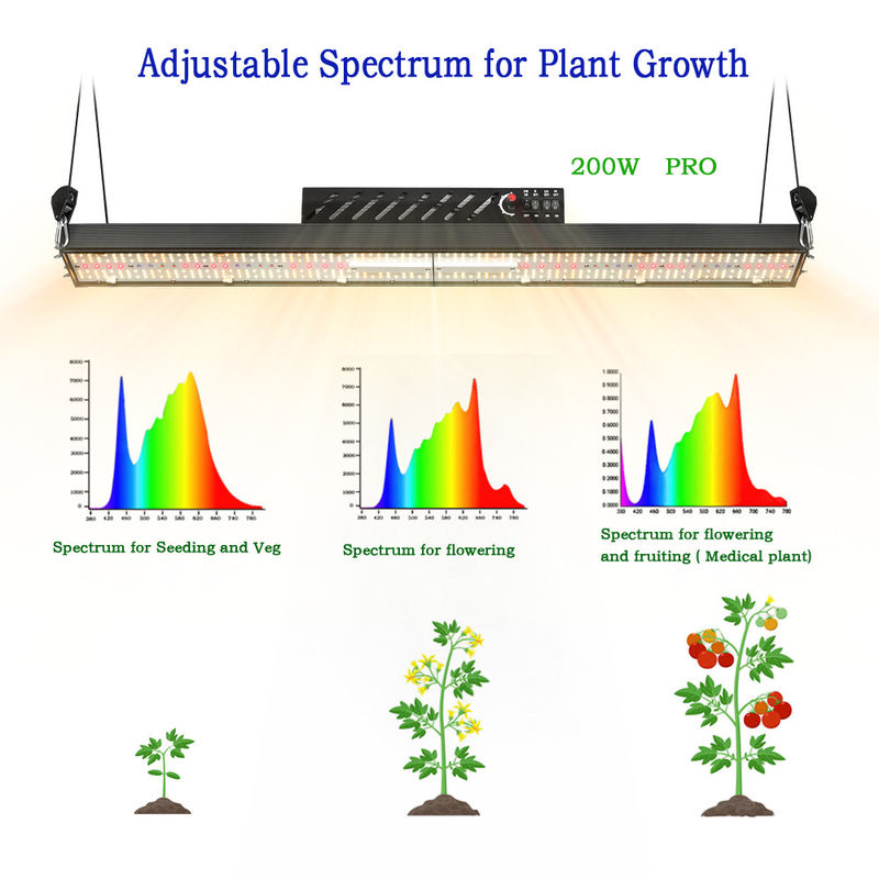 IP20 Samsung 520Umol/S LM301H Led Plant Grow Lights 200W 2.6umol/W