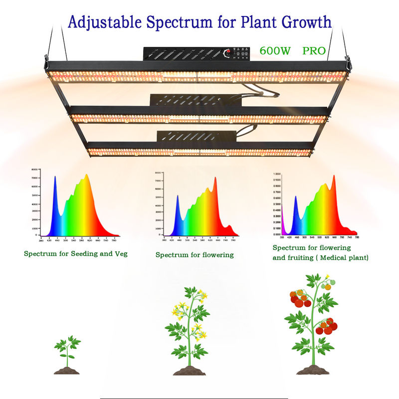 BAVAGREEN 600W 2.45umol/J WIFI LED Grow Light SMD3030 SAA Led Grow Light Bar
