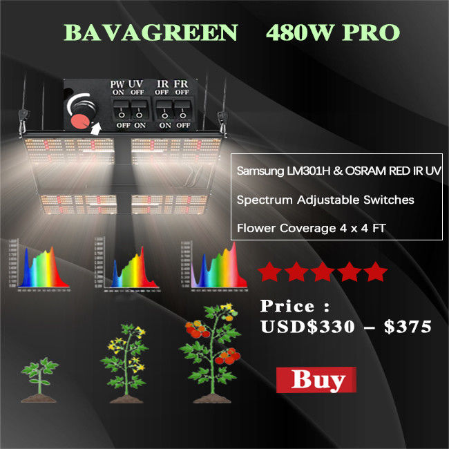 480W SAMSUNG QB288 V3 LM301H Full Spectrum LED Grow Lights CETL