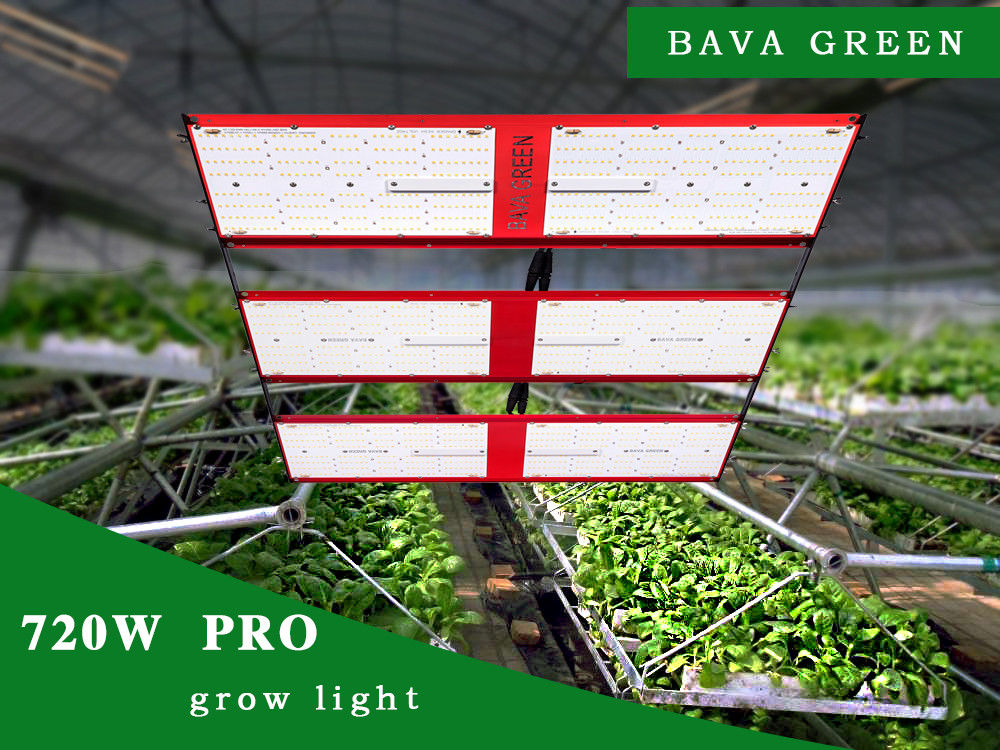 720w 3000k 5000k Full Spectrum Led Grow Light Samsung 301h 1872Umol/s