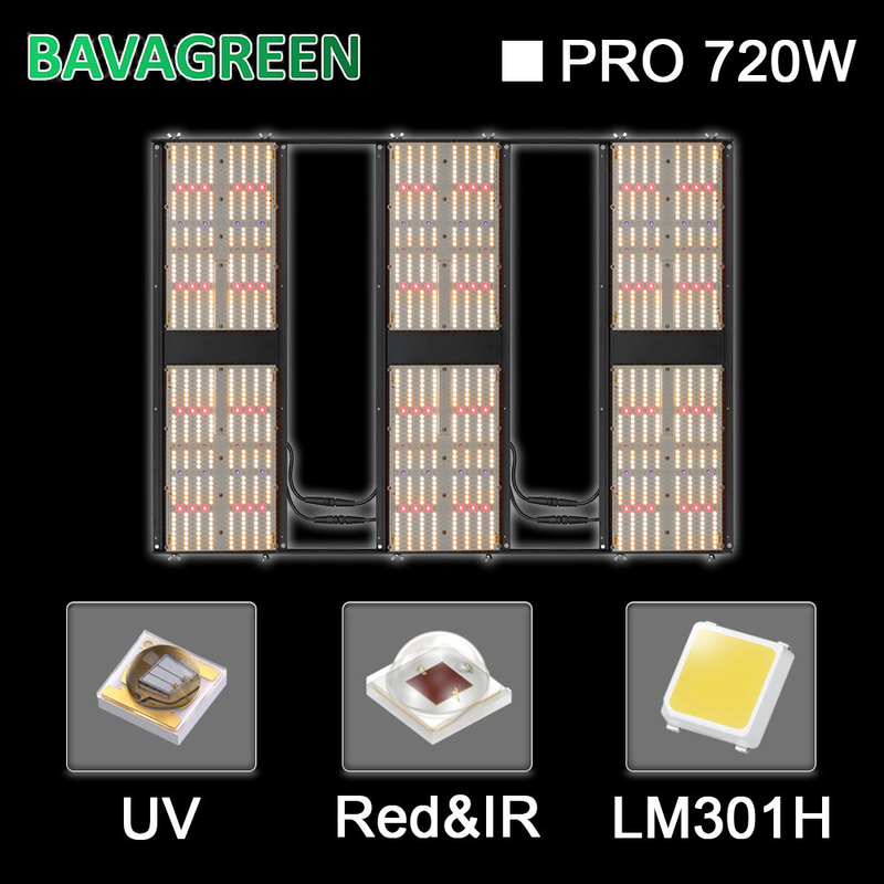 Adjustable Spectrum Pre Assembled Seoul 385nm 720W Commercial Horticulture Lm301h Oem Odm