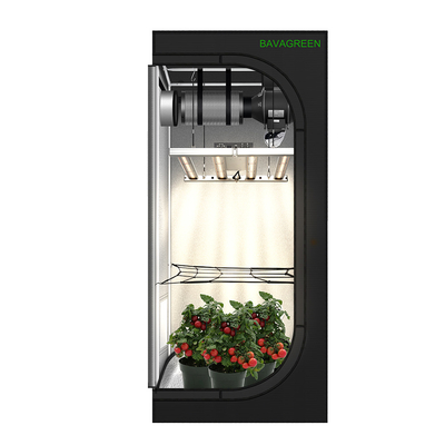 BAVAGREEN Plant Growing Kit 240W LM301H EVO Mint White UV IR LED Grow Light 80x80x180cm 1680D Grow Tent With Smart Fan