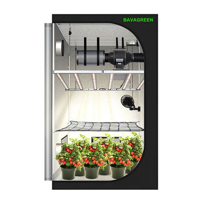 BAVAGREEN 4x4 Growbox Kit 600W Samsung LM301H EVO LED Grow Light 120X120CM Growzelt with Smart Ventilation System