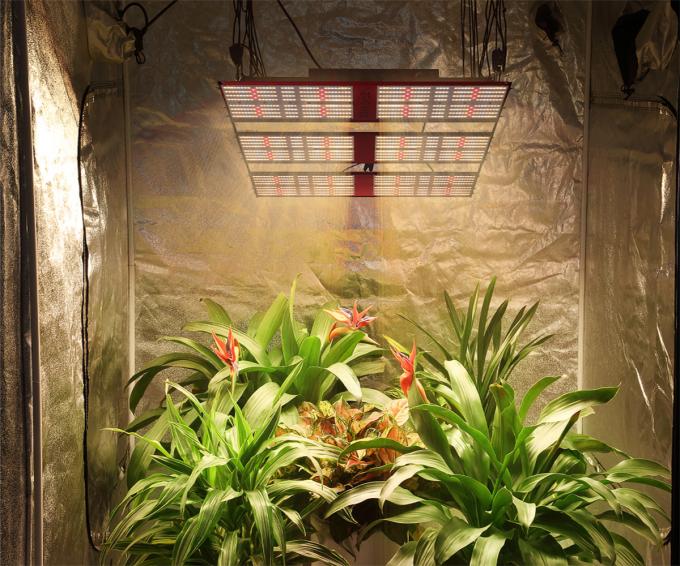 Samsung lm301H Full Spectrum LED Grow Lights 4X4 Tent 600W Preassembled